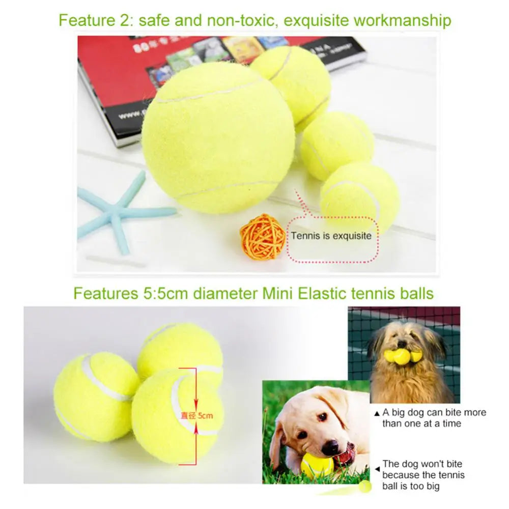 🎾 Dog Toy Tennis Balls for Puppies and Small Dogs - Perfect for Fetch, Fun & Training! 🐾