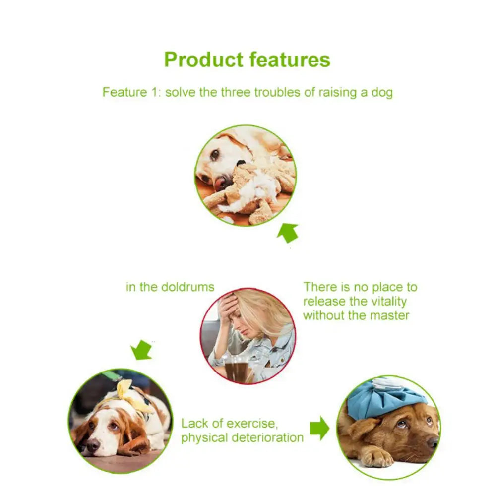 🎾 Dog Toy Tennis Balls for Puppies and Small Dogs - Perfect for Fetch, Fun & Training! 🐾