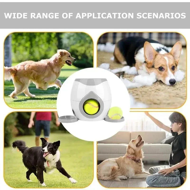 Interactive dog ball thrower with versatile indoor and outdoor use, featuring durable design and treat dispenser.