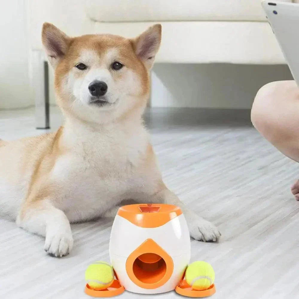 Dog playing with Interactive Dog Ball Thrower indoors.