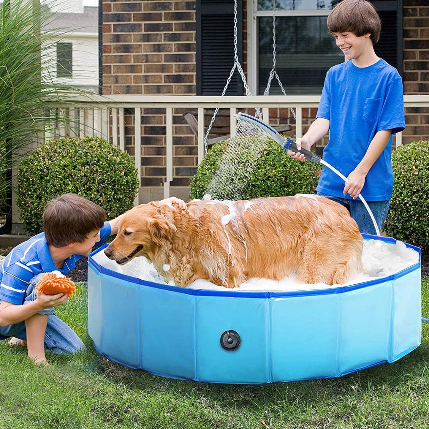 Dog Shower Sprayer AttachmentDog Shower Sprayer Attachment
