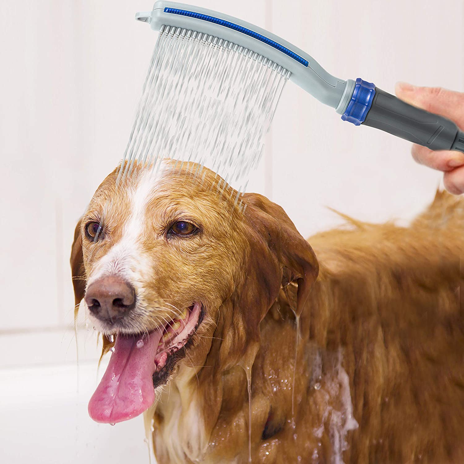 Dog Shower Sprayer AttachmentDog Shower Sprayer Attachment